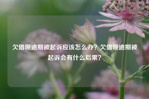 欠借呗逾期被起诉应该怎么办？欠借呗逾期被起诉会有什么后果？