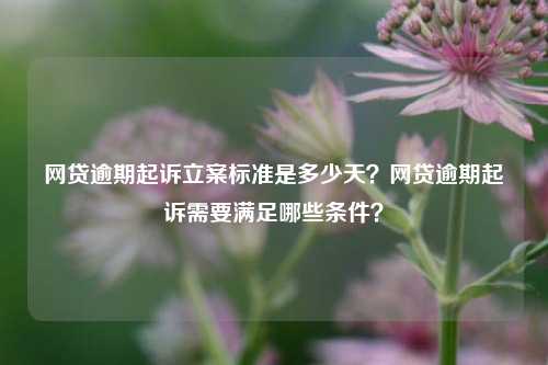 网贷逾期起诉立案标准是多少天？网贷逾期起诉需要满足哪些条件？