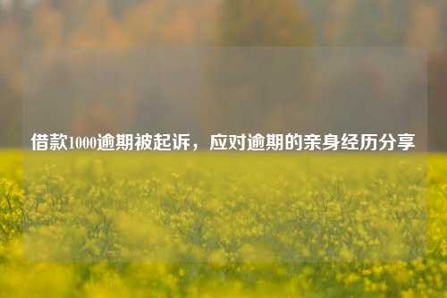 借款1000逾期被起诉，应对逾期的亲身经历分享