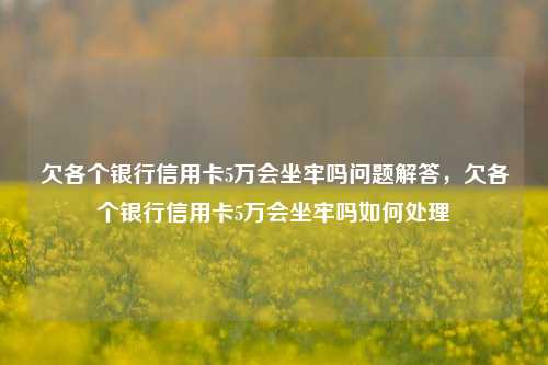 欠各个银行信用卡5万会坐牢吗问题解答，欠各个银行信用卡5万会坐牢吗如何处理