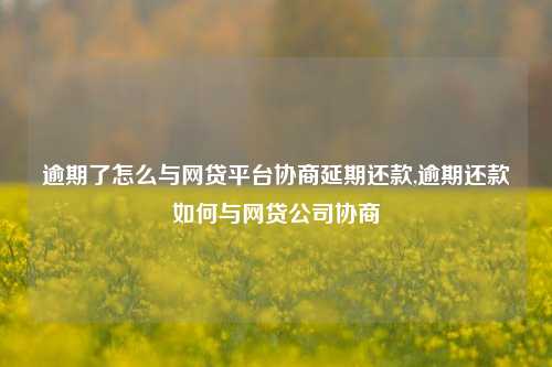 逾期了怎么与网贷平台协商延期还款,逾期还款如何与网贷公司协商