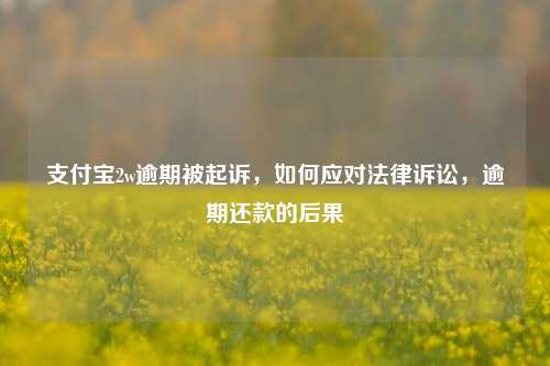 支付宝2w逾期被起诉，如何应对法律诉讼，逾期还款的后果