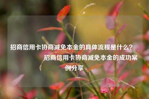 招商信用卡协商减免本金的具体流程是什么？                    招商信用卡协商减免本金的成功案例分享