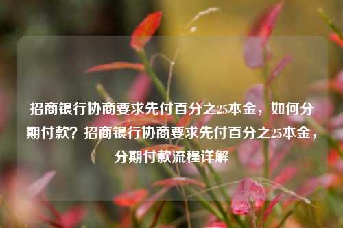 招商银行协商要求先付百分之25本金，如何分期付款？招商银行协商要求先付百分之25本金，分期付款流程详解