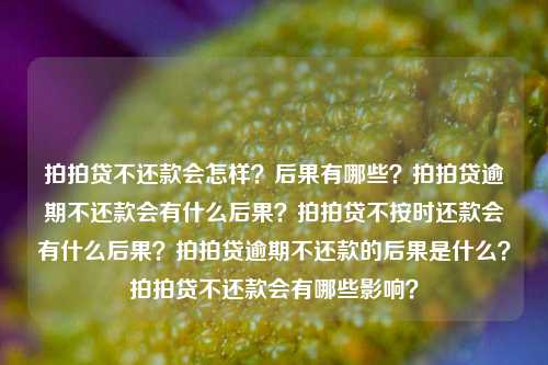 拍拍贷不还款会怎样？后果有哪些？拍拍贷逾期不还款会有什么后果？拍拍贷不按时还款会有什么后果？拍拍贷逾期不还款的后果是什么？拍拍贷不还款会有哪些影响？