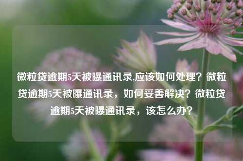 微粒贷逾期5天被曝通讯录,应该如何处理？微粒贷逾期5天被曝通讯录，如何妥善解决？微粒贷逾期5天被曝通讯录，该怎么办？