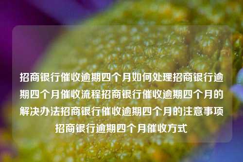 招商银行催收逾期四个月如何处理招商银行逾期四个月催收流程招商银行催收逾期四个月的解决办法招商银行催收逾期四个月的注意事项招商银行逾期四个月催收方式