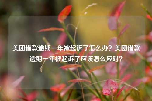 美团借款逾期一年被起诉了怎么办？美团借款逾期一年被起诉了应该怎么应对？