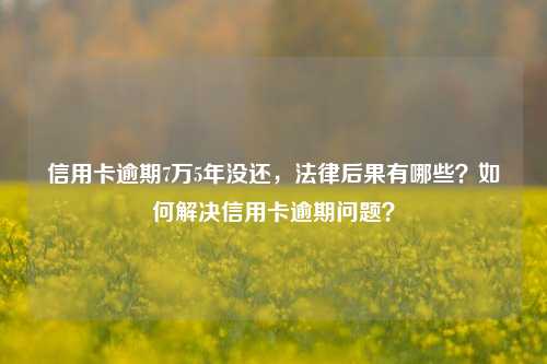 信用卡逾期7万5年没还，法律后果有哪些？如何解决信用卡逾期问题？