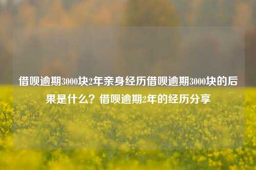 借呗逾期3000块2年亲身经历借呗逾期3000块的后果是什么？借呗逾期2年的经历分享