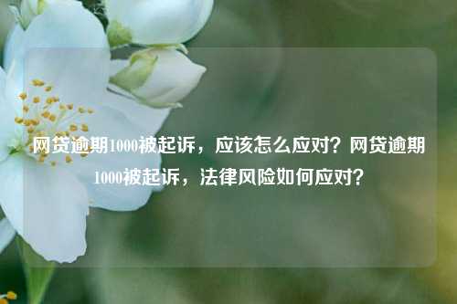 网贷逾期1000被起诉，应该怎么应对？网贷逾期1000被起诉，法律风险如何应对？