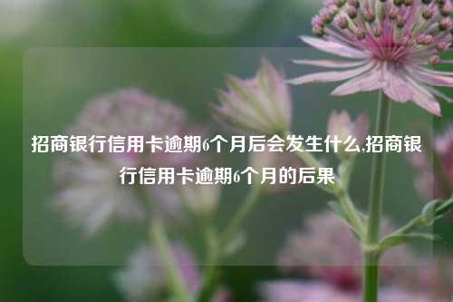 招商银行信用卡逾期6个月后会发生什么,招商银行信用卡逾期6个月的后果