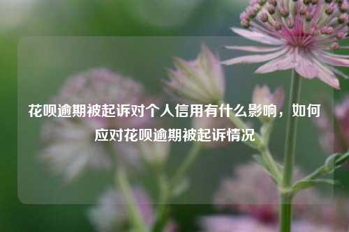 花呗逾期被起诉对个人信用有什么影响，如何应对花呗逾期被起诉情况