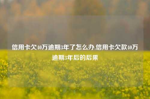 信用卡欠40万逾期3年了怎么办,信用卡欠款40万逾期3年后的后果