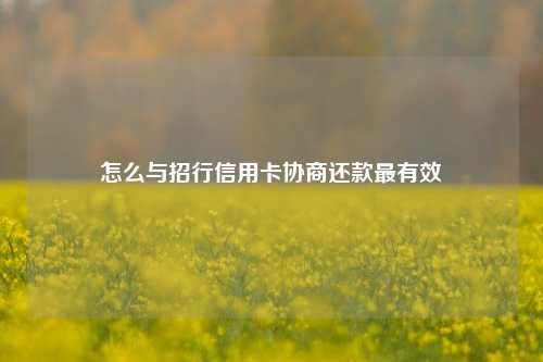 怎么与招行信用卡协商还款最有效