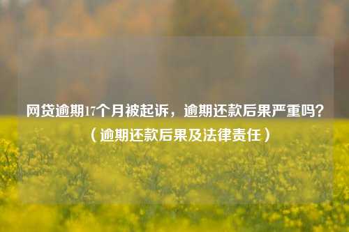 网贷逾期17个月被起诉，逾期还款后果严重吗？（逾期还款后果及法律责任）