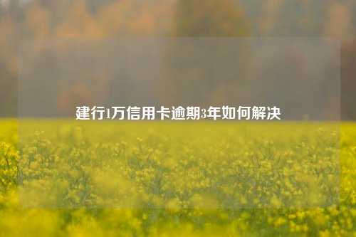 建行1万信用卡逾期3年如何解决