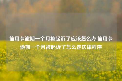 信用卡逾期一个月被起诉了应该怎么办,信用卡逾期一个月被起诉了怎么走法律程序