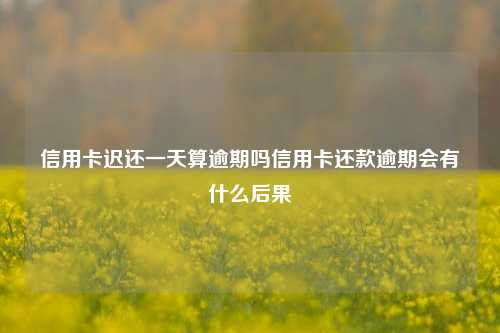 信用卡迟还一天算逾期吗信用卡还款逾期会有什么后果