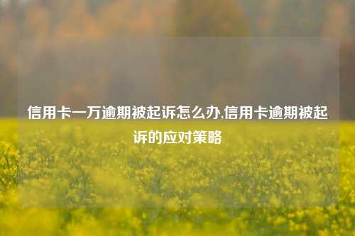 信用卡一万逾期被起诉怎么办,信用卡逾期被起诉的应对策略