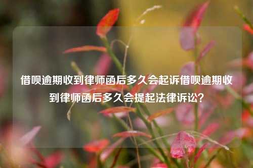 借呗逾期收到律师函后多久会起诉借呗逾期收到律师函后多久会提起法律诉讼？