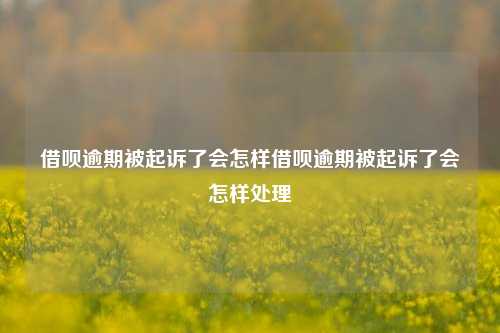 借呗逾期被起诉了会怎样借呗逾期被起诉了会怎样处理