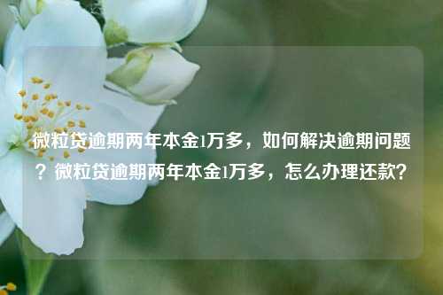 微粒贷逾期两年本金1万多，如何解决逾期问题？微粒贷逾期两年本金1万多，怎么办理还款？