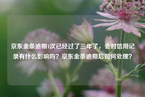 京东金条逾期1次已经过了三年了，会对信用记录有什么影响吗？京东金条逾期后如何处理？