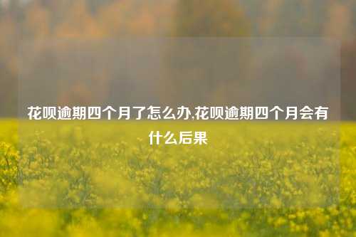 花呗逾期四个月了怎么办,花呗逾期四个月会有什么后果