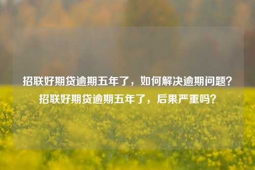 招联好期贷逾期五年了，如何解决逾期问题？招联好期贷逾期五年了，后果严重吗？