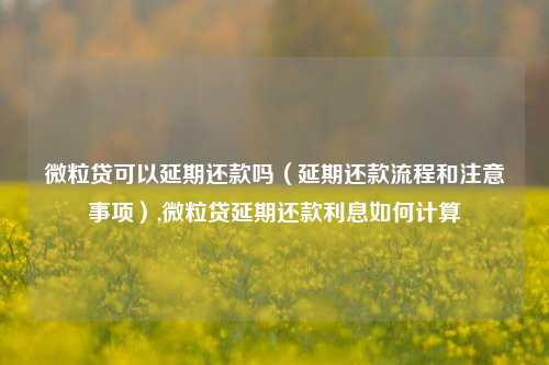 微粒贷可以延期还款吗（延期还款流程和注意事项）,微粒贷延期还款利息如何计算