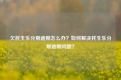 欠民生乐分期逾期怎么办？如何解决民生乐分期逾期问题？