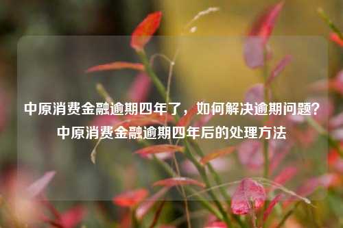 中原消费金融逾期四年了，如何解决逾期问题？中原消费金融逾期四年后的处理方法