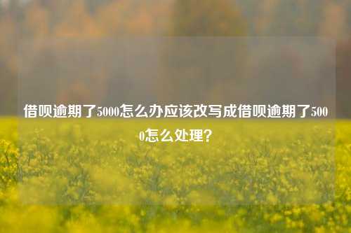 借呗逾期了5000怎么办应该改写成借呗逾期了5000怎么处理？