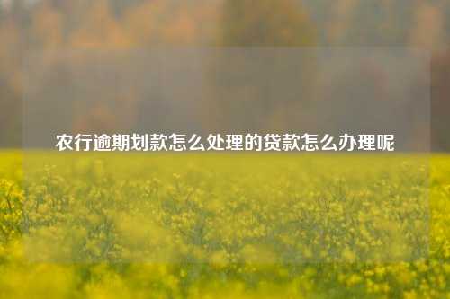 农行逾期划款怎么处理的贷款怎么办理呢