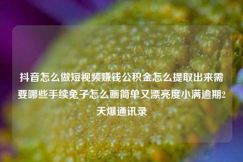 抖音怎么做短视频赚钱公积金怎么提取出来需要哪些手续兔子怎么画简单又漂亮度小满逾期2天爆通讯录