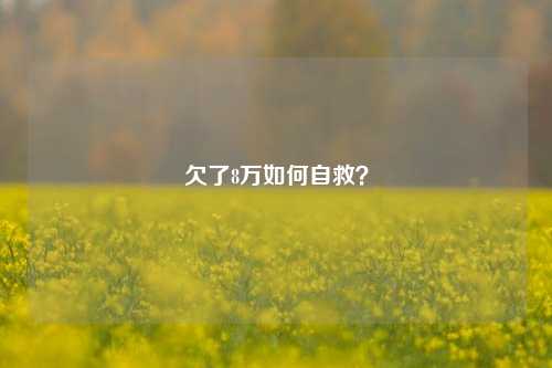 欠了8万如何自救？