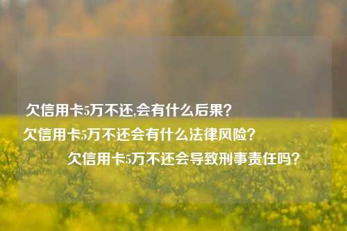 欠信用卡5万不还,会有什么后果？                    欠信用卡5万不还会有什么法律风险？                    欠信用卡5万不还会导致刑事责任吗？