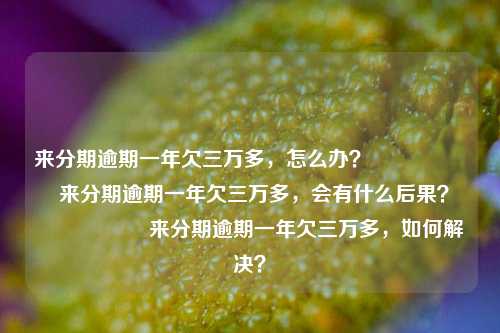 来分期逾期一年欠三万多，怎么办？                    来分期逾期一年欠三万多，会有什么后果？                    来分期逾期一年欠三万多，如何解决？