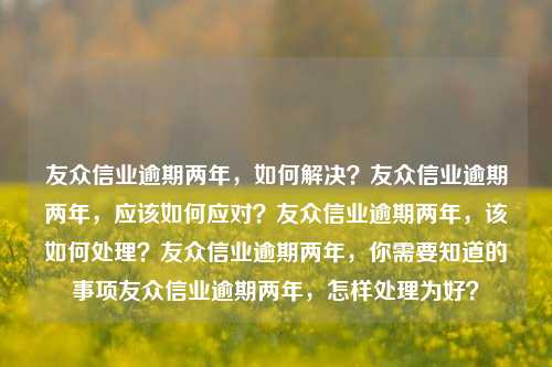 友众信业逾期两年，如何解决？友众信业逾期两年，应该如何应对？友众信业逾期两年，该如何处理？友众信业逾期两年，你需要知道的事项友众信业逾期两年，怎样处理为好？