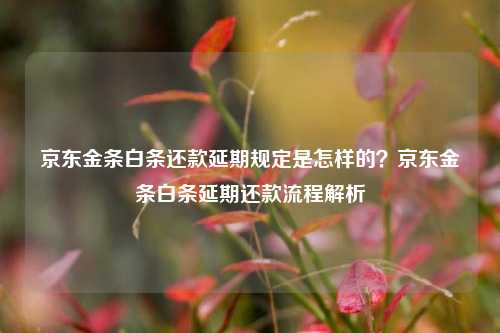 京东金条白条还款延期规定是怎样的？京东金条白条延期还款流程解析