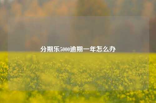 分期乐5000逾期一年怎么办