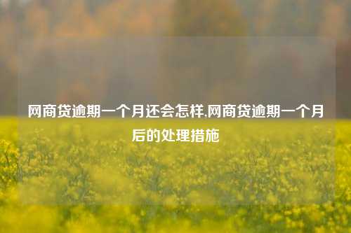 网商贷逾期一个月还会怎样,网商贷逾期一个月后的处理措施