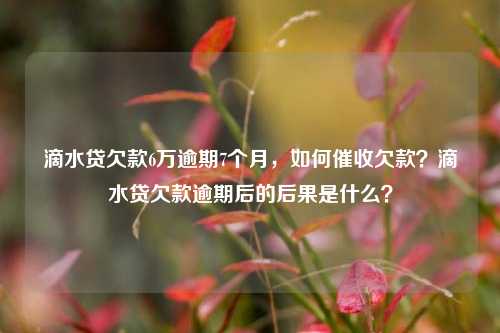 滴水贷欠款6万逾期7个月，如何催收欠款？滴水贷欠款逾期后的后果是什么？