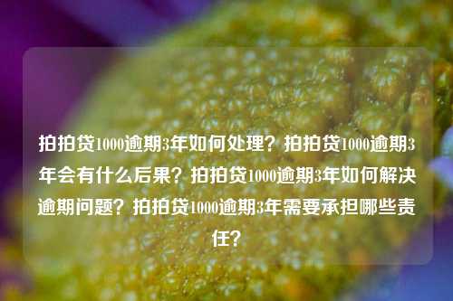 拍拍贷1000逾期3年如何处理？拍拍贷1000逾期3年会有什么后果？拍拍贷1000逾期3年如何解决逾期问题？拍拍贷1000逾期3年需要承担哪些责任？