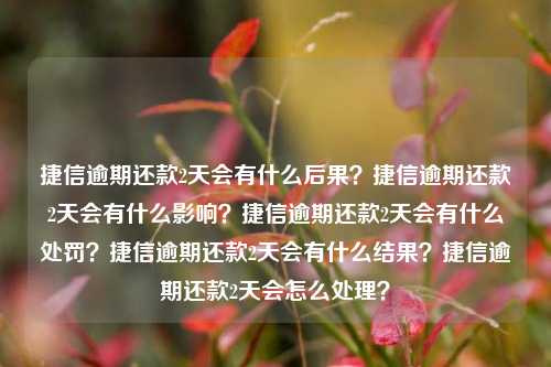 捷信逾期还款2天会有什么后果？捷信逾期还款2天会有什么影响？捷信逾期还款2天会有什么处罚？捷信逾期还款2天会有什么结果？捷信逾期还款2天会怎么处理？