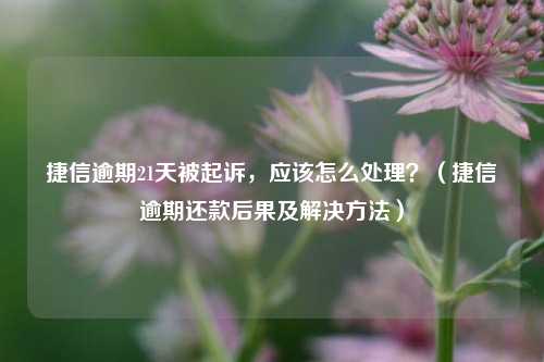 捷信逾期21天被起诉，应该怎么处理？（捷信逾期还款后果及解决方法）