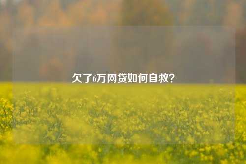 欠了6万网贷如何自救？