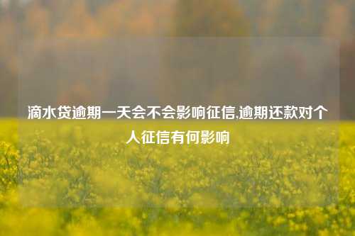 滴水贷逾期一天会不会影响征信,逾期还款对个人征信有何影响