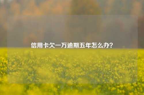 信用卡欠一万逾期五年怎么办？